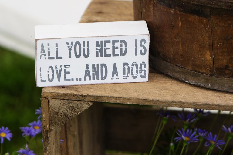 Dogs at Weddings