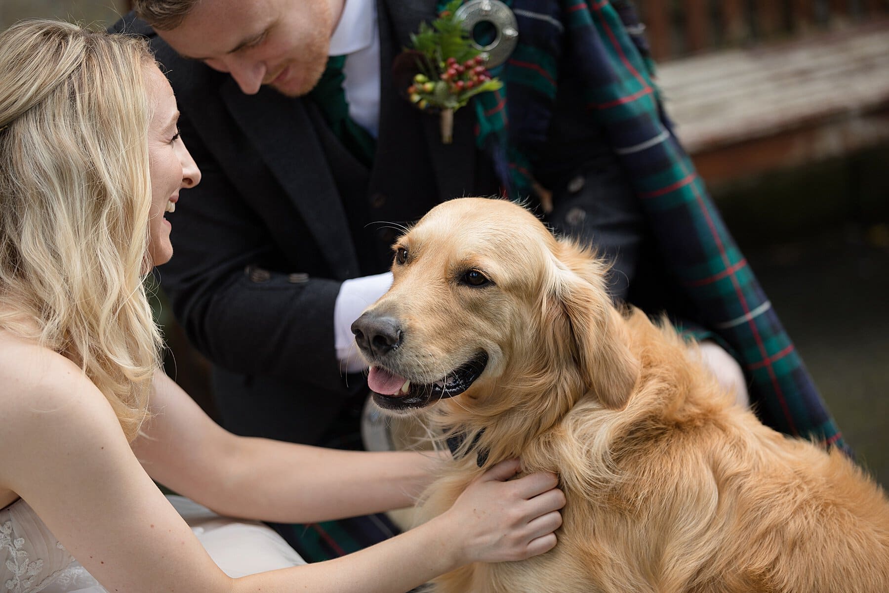 Dog at Wedding Scotland