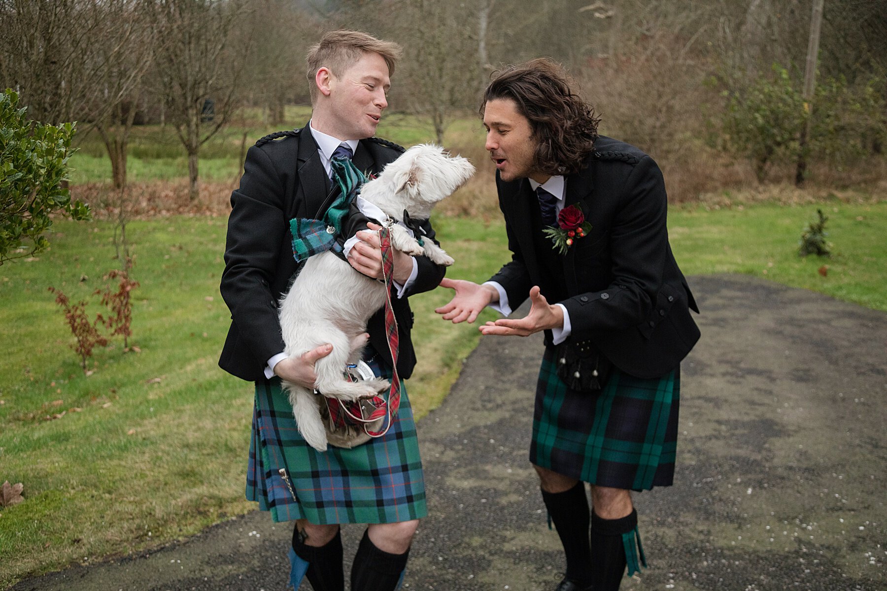 Dogs at Weddings Scotland