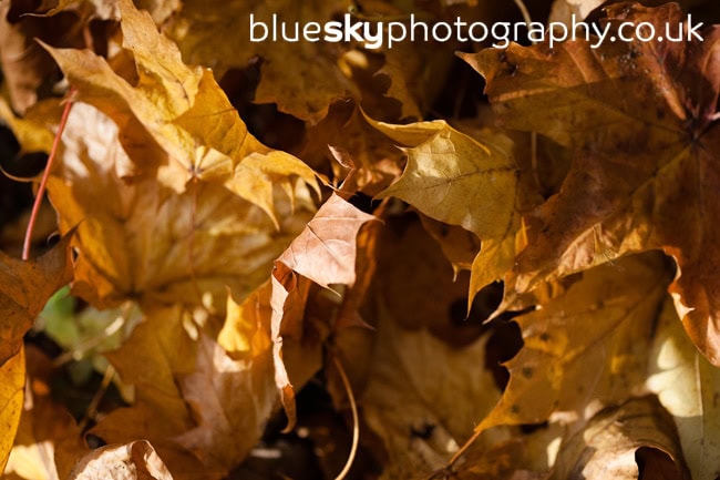 Autumn has arrived…
