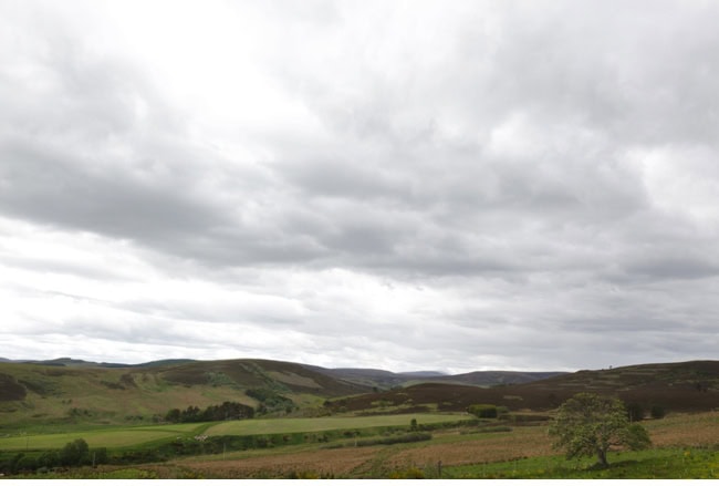 A Scottish Highland celebration…
